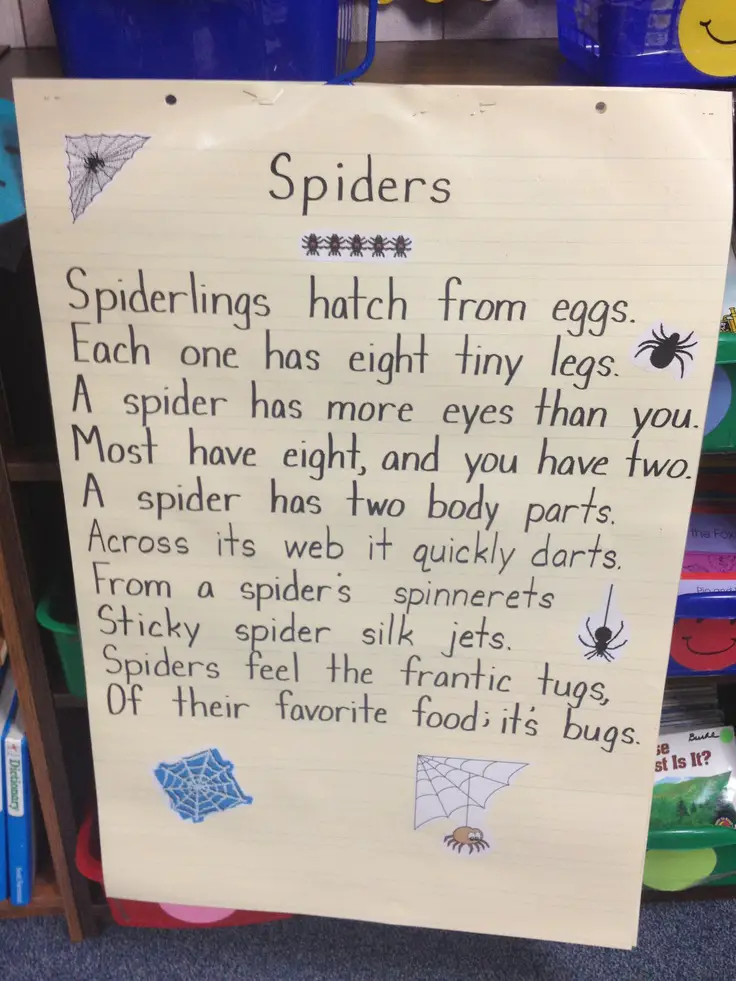 Spider Poems