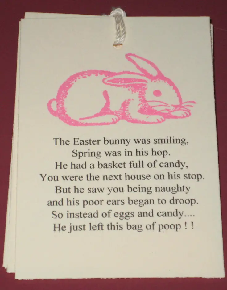 Rabbit Poems