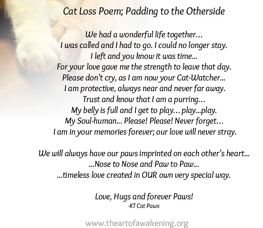 Cat loss Poems