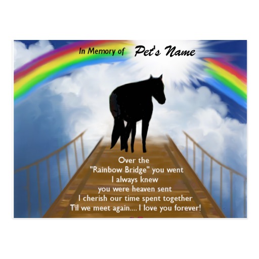 Horse sympathy Poems Poems