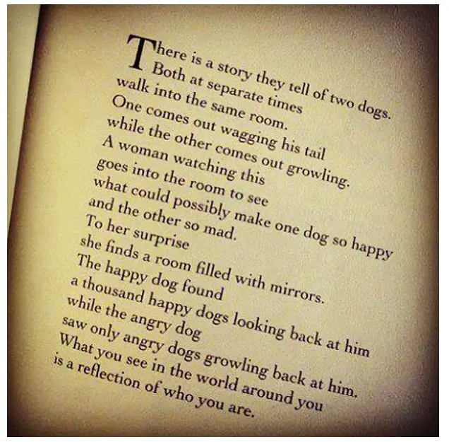 Famous Poems About Soulmates Wedding Ideas Reflective Poems
