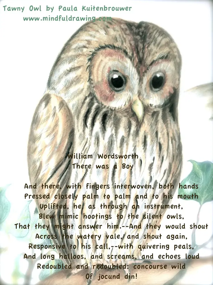 Owl Poems