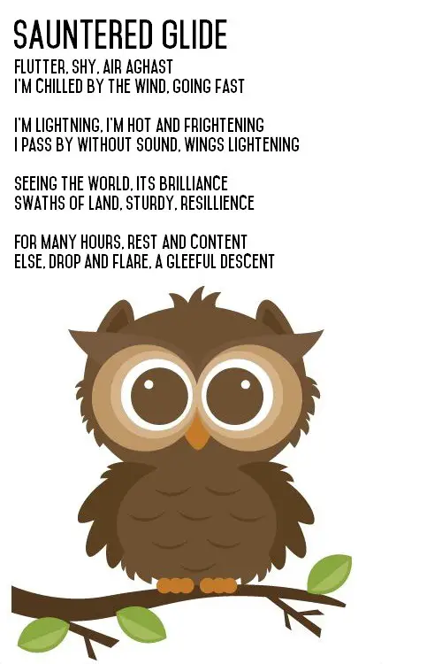 Owl Poems