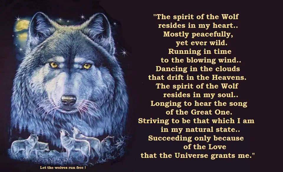 Image result for the spirit of wolves