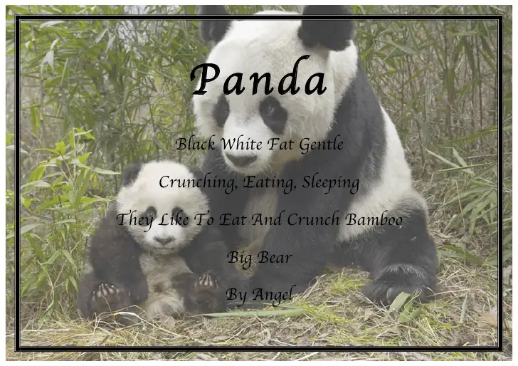 Short Animal Poems For Kids Short Animal Poems For Kids