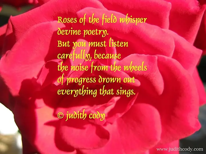 Roses Poems