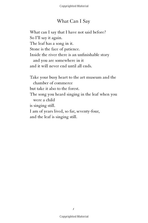 60 Beautiful Love Poems Mary Oliver - Poems Ideas