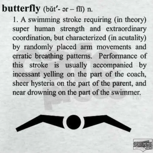 swimming lessons poems swimming lessons poems