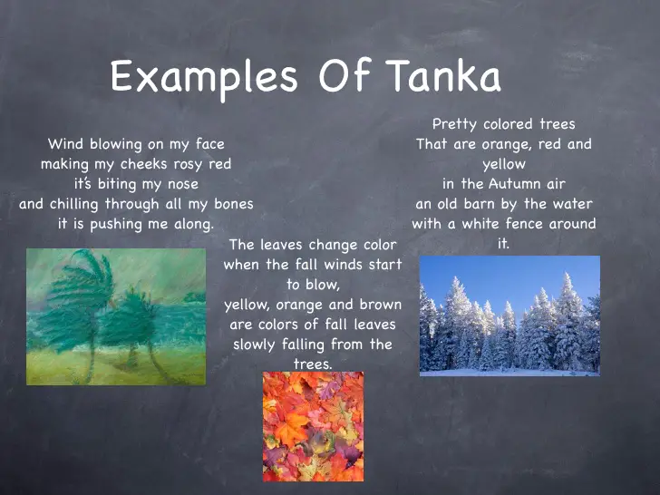 Examples of tanka Poems