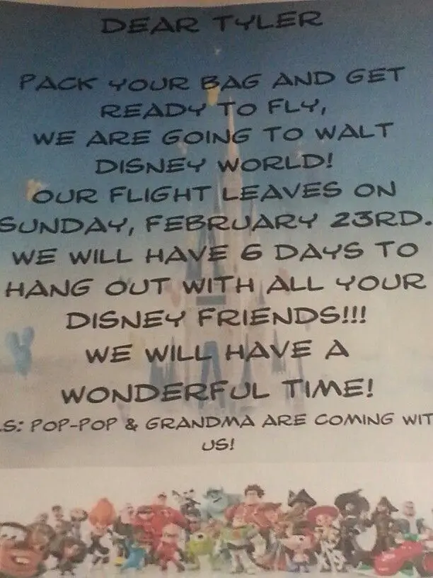 A surprise trip essay 07 picture