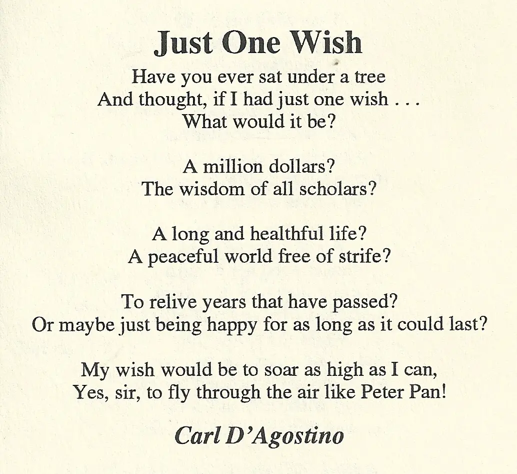 I wish poem for kids picture