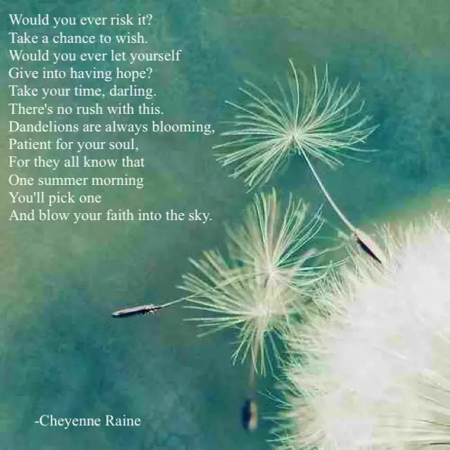 Dandelion Poems