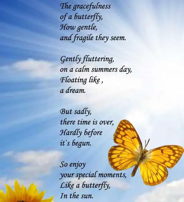 Simple butterfly Poems