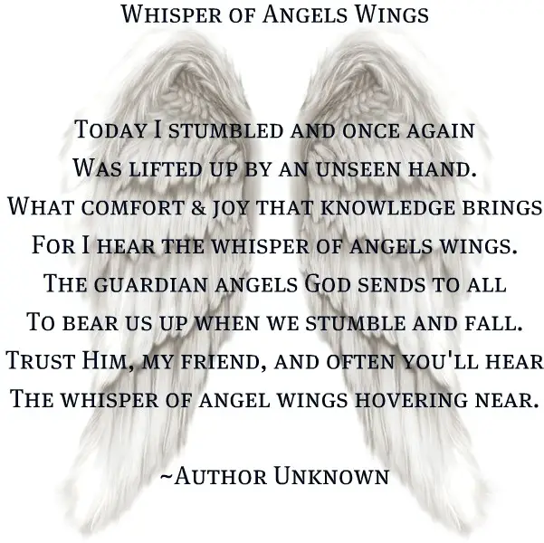Angel wing Poems