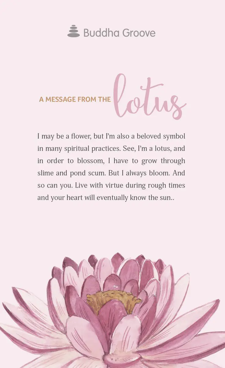 Lotus Poems