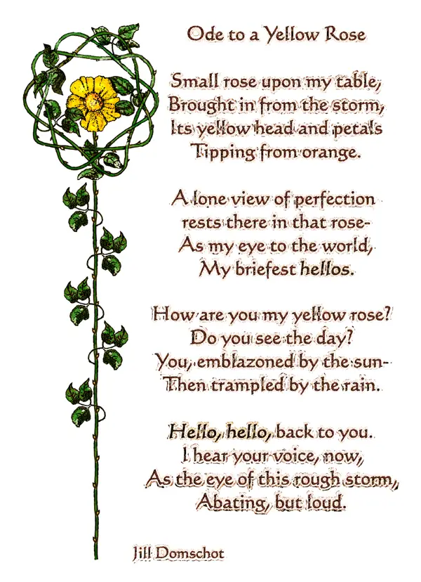 Yellow Poems
