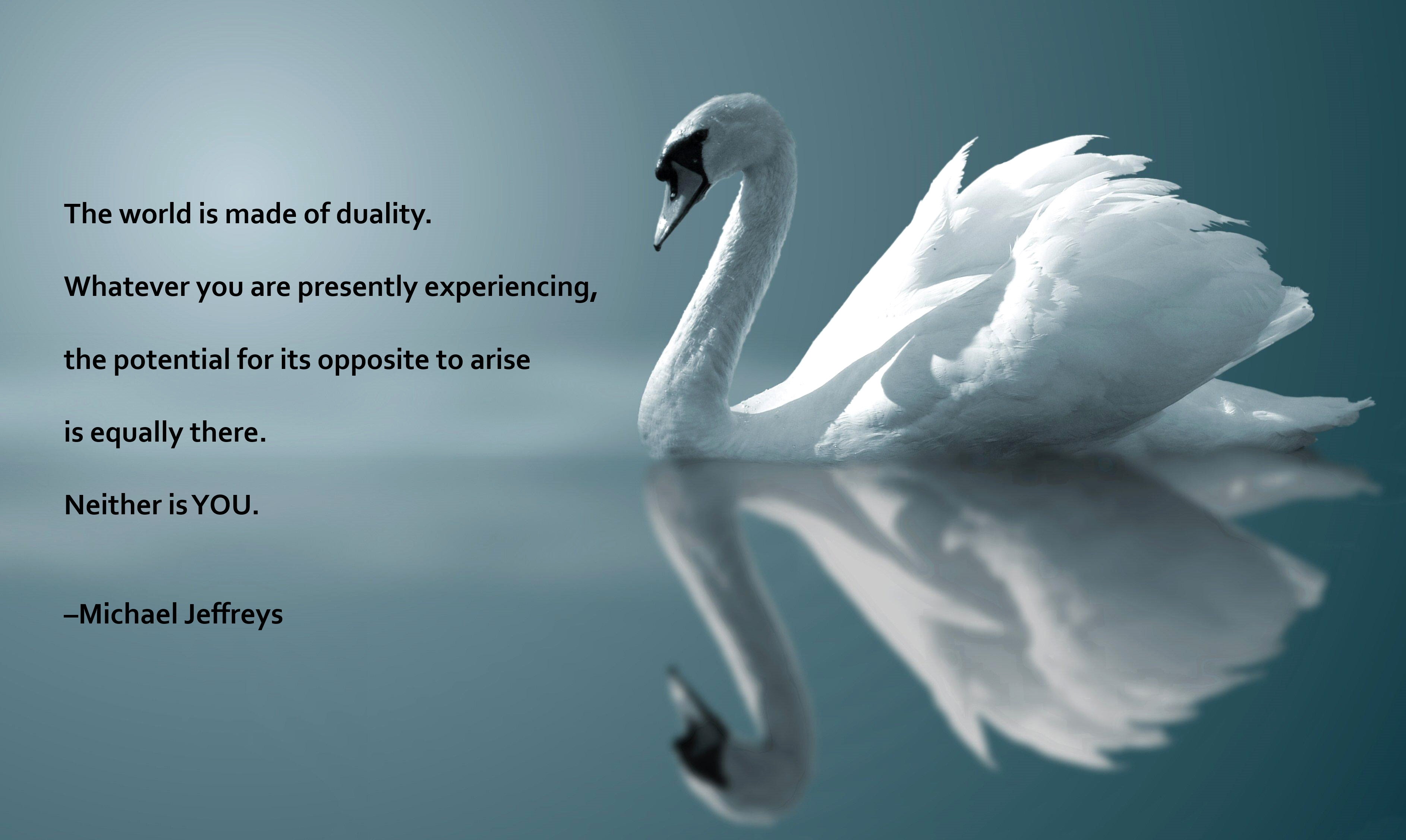 Swan Poems