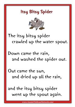 Spider Poems