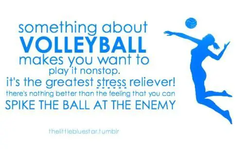 Volleyball inspirational Poems