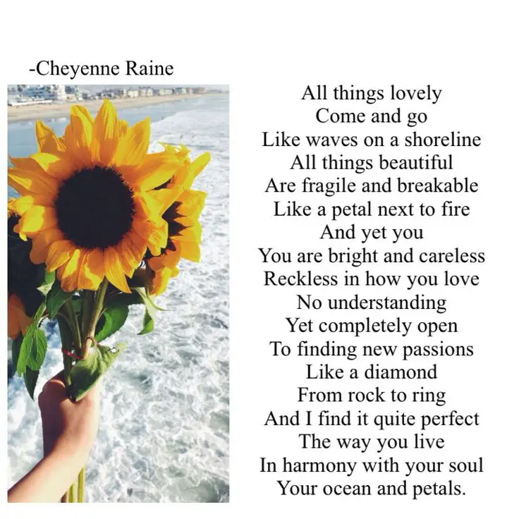 Sunflower Poems