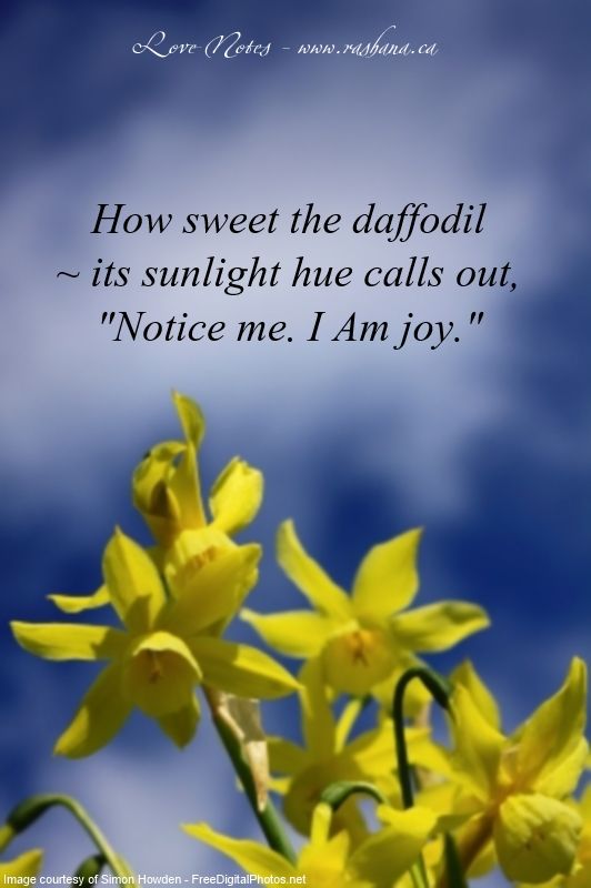 Daffodil Poems