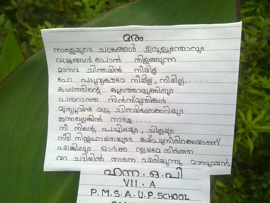 Sugathakumari Poems