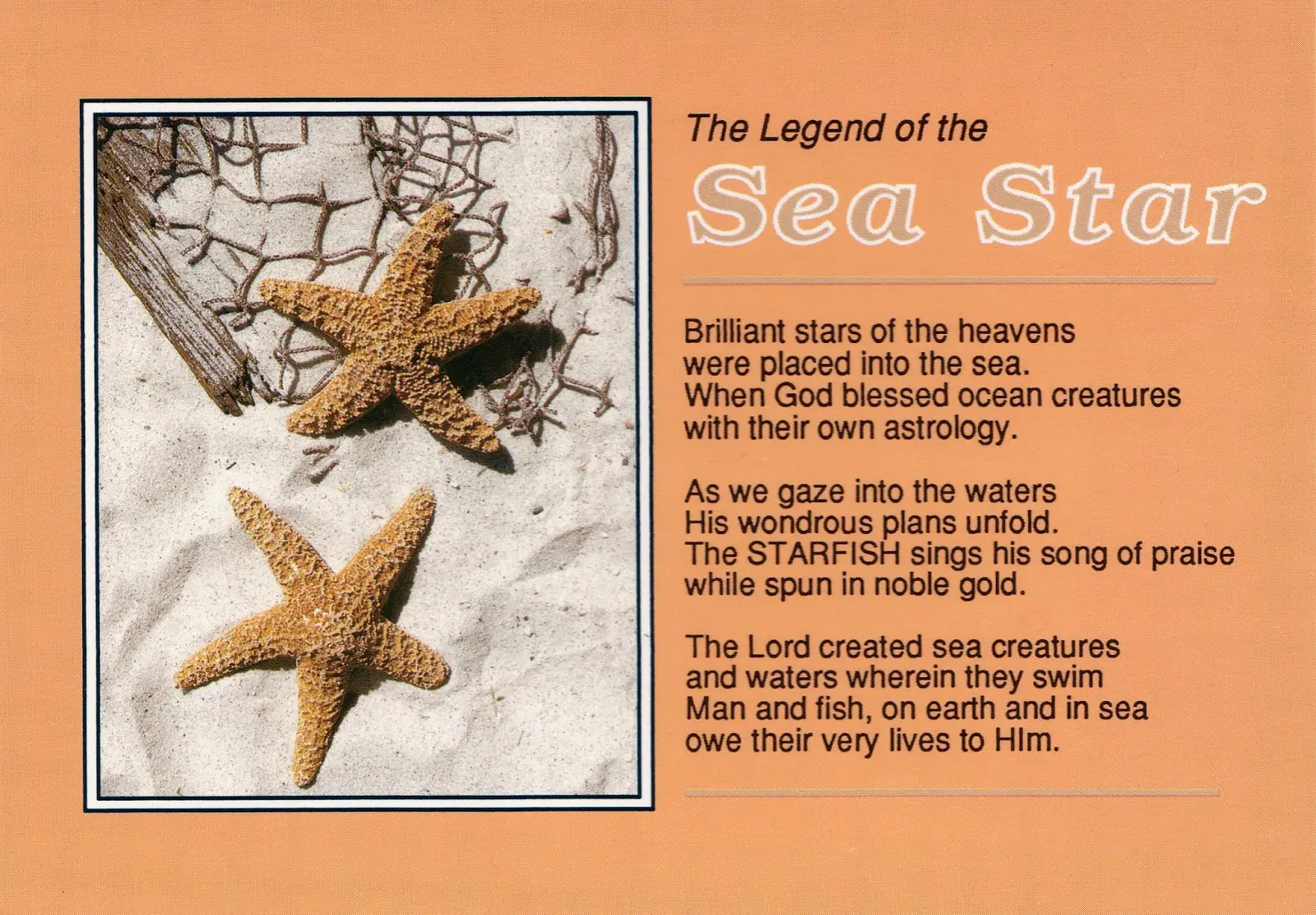Starfish Poems