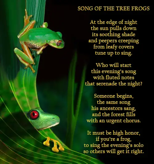 Garden Decor Frogs Lyrics, Lighthouse Point Landscape Code