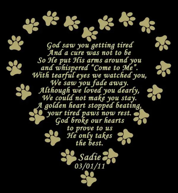 Birthday memorial Poems