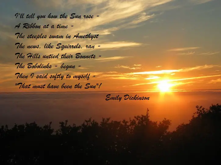 Sunrise Poems