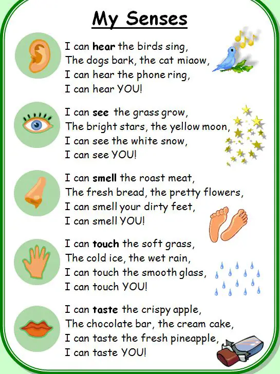 Senses Poems
