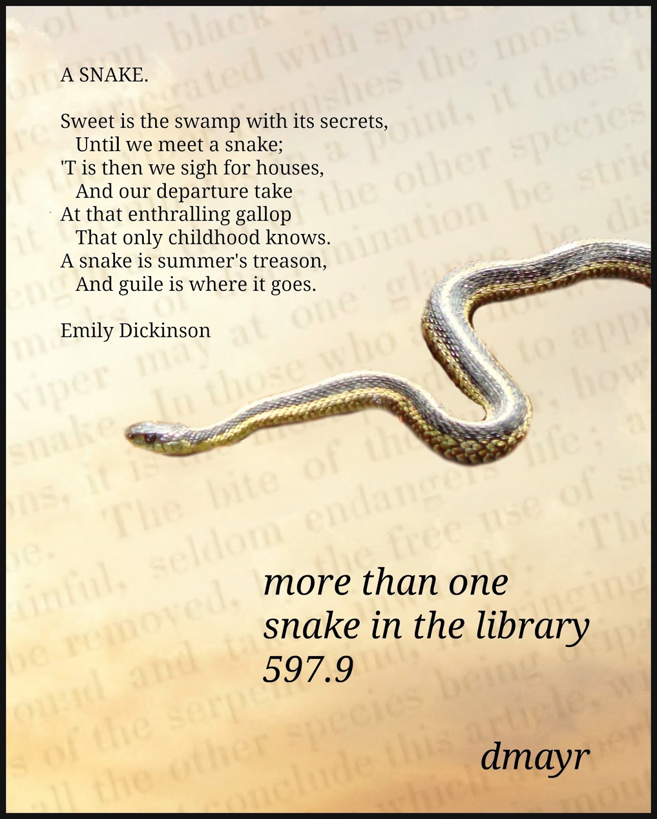 Reptile Poems