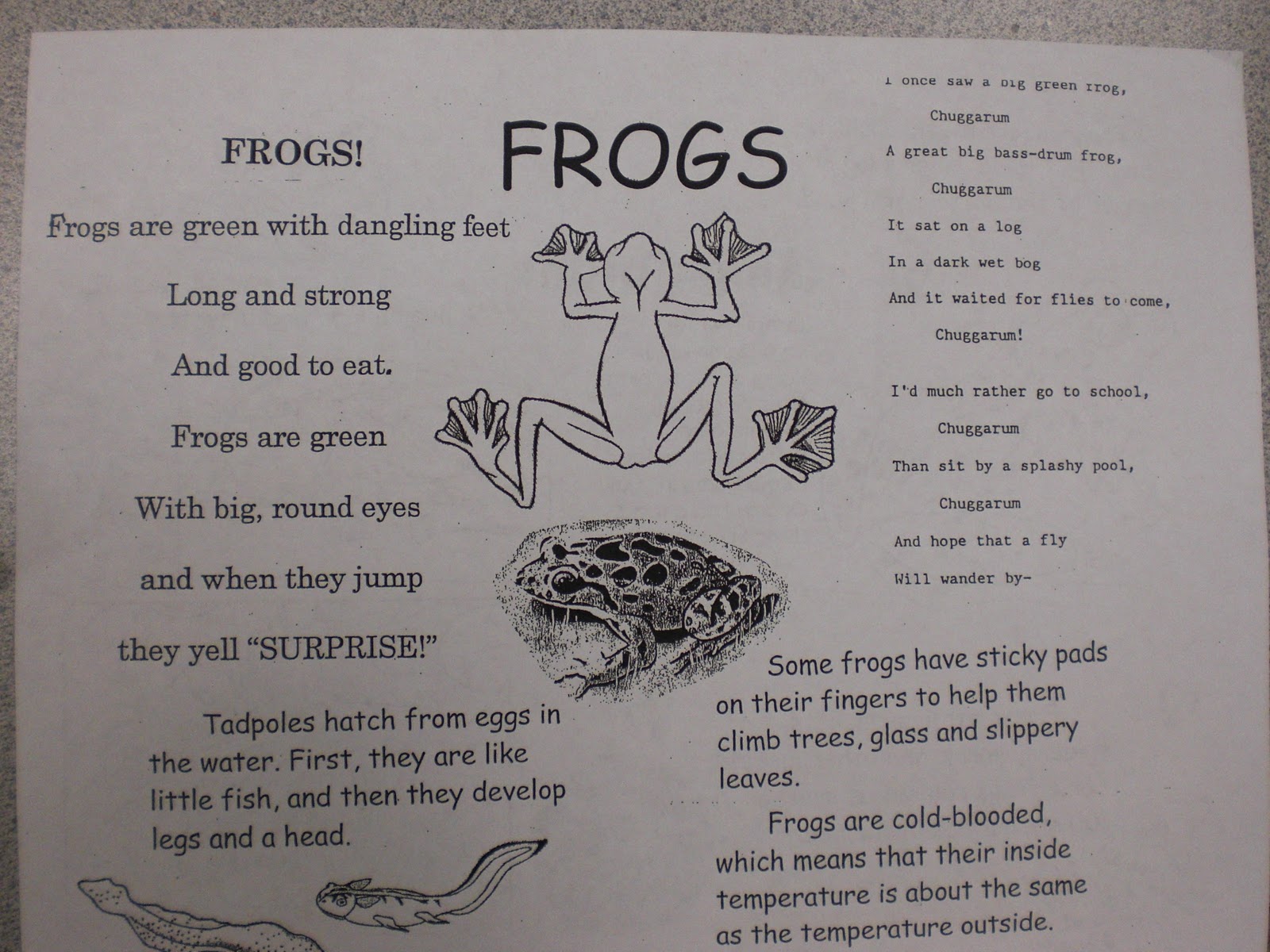 Frog Poems