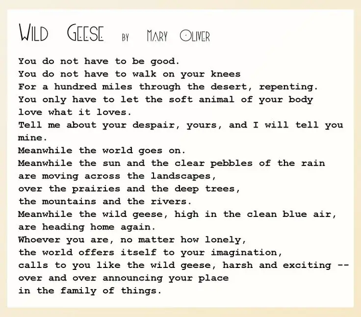 Geese poems