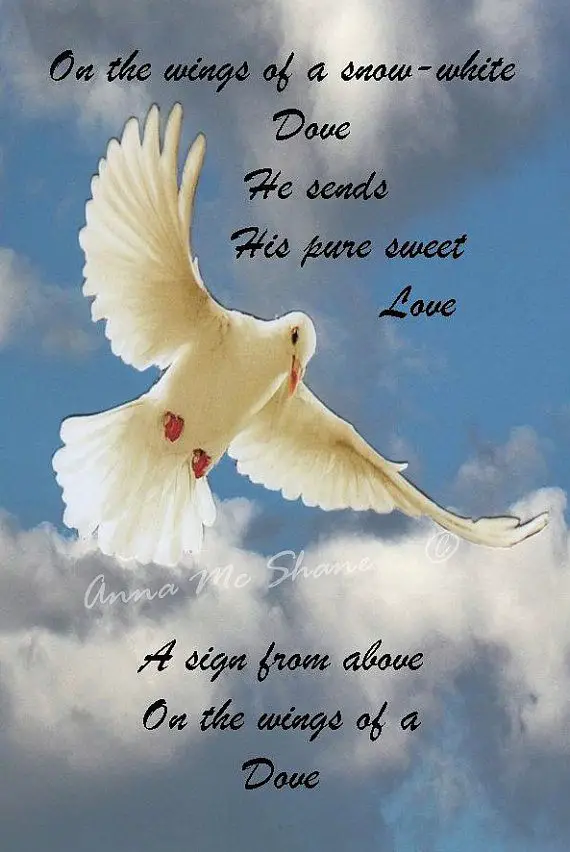 Dove Poems