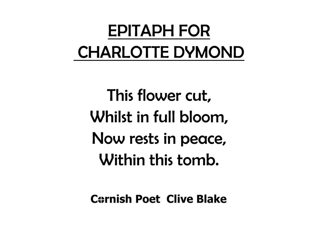 Funny epitaph Poems