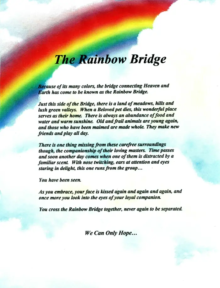 Free Rainbow Bridge Poem Rainbow Bridge Poem for Dogs & Cats