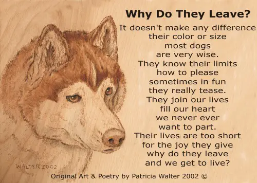 Dog Poems