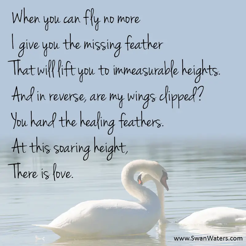 Swan Poems
