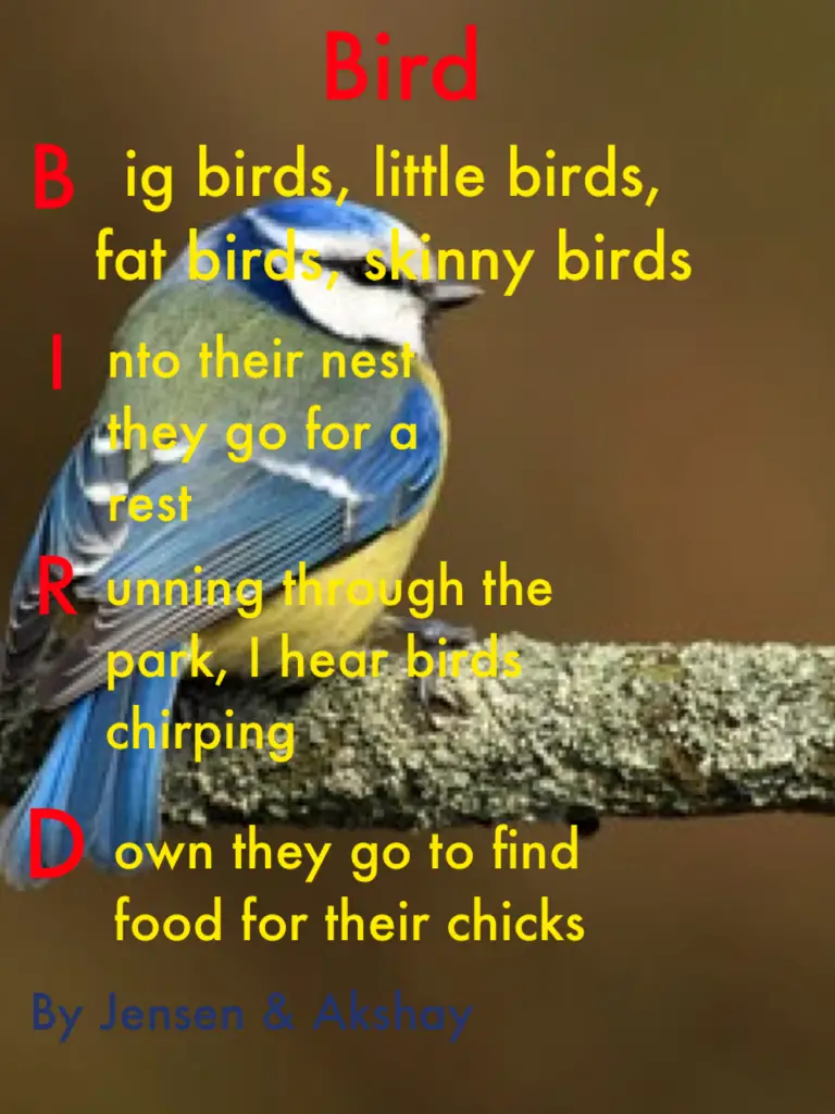 Bird Poems