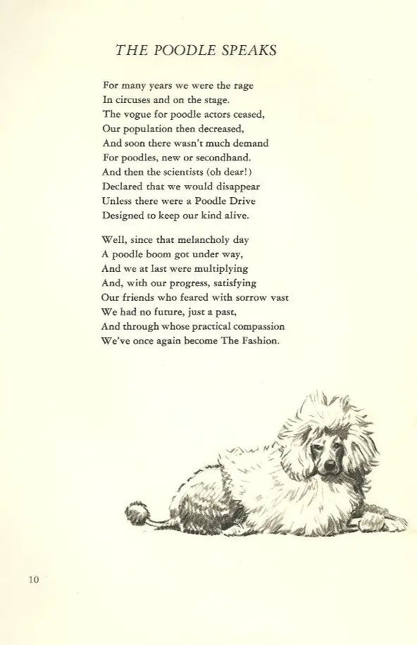 Poodle Poems Poodle Poems