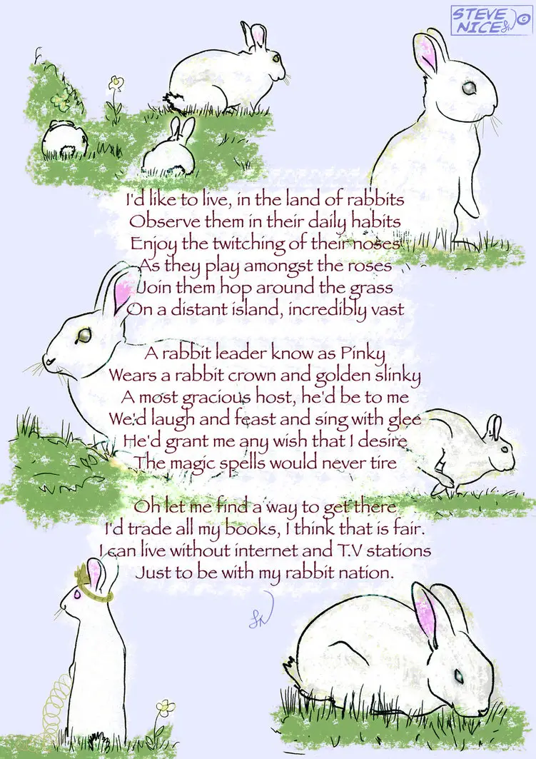 Rabbit Poems