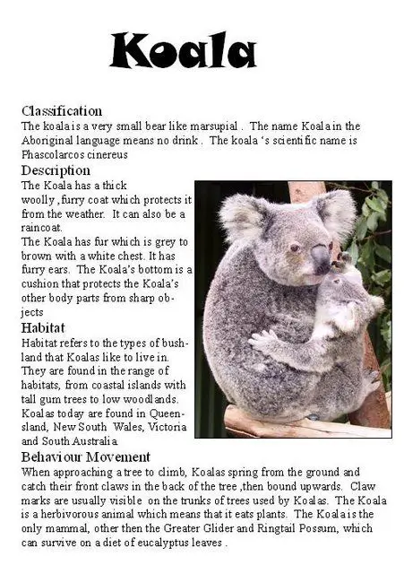 Australian Marsupials Letters Australian Marsupials Letters