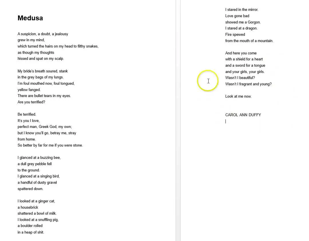 Medusa poem essay image