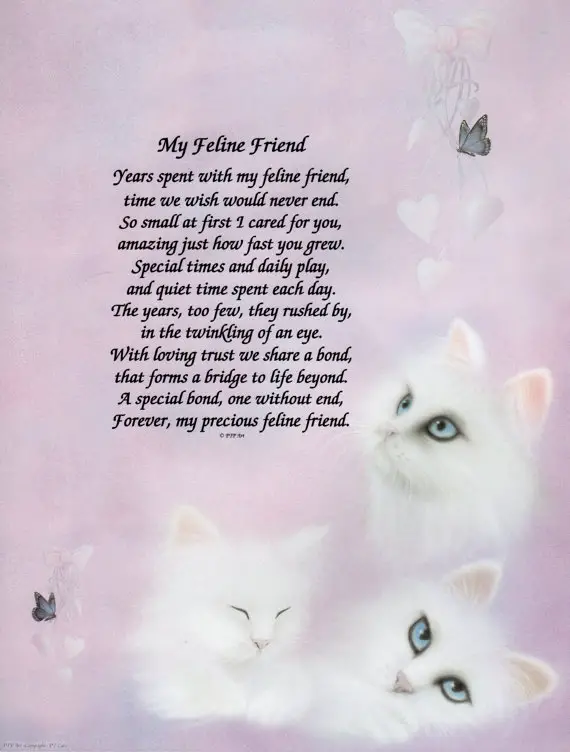 Kitten Poems