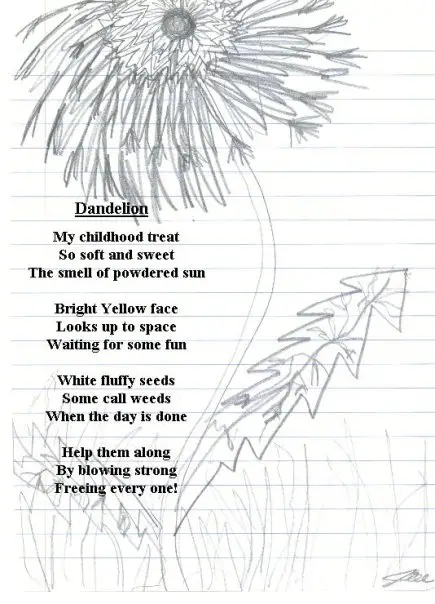 Dandelion Poems