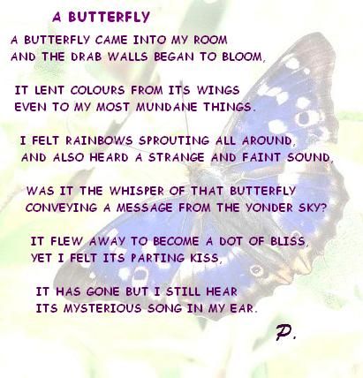 Butterfly college essay picture