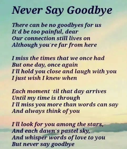 examples goodbye funeral speech for a friend