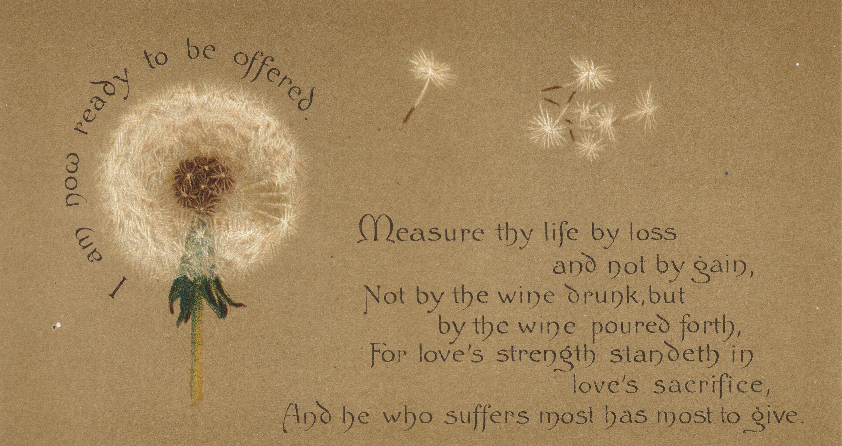 Dandelion Poems