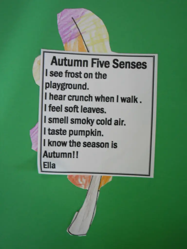 5 Senses Poem Examples